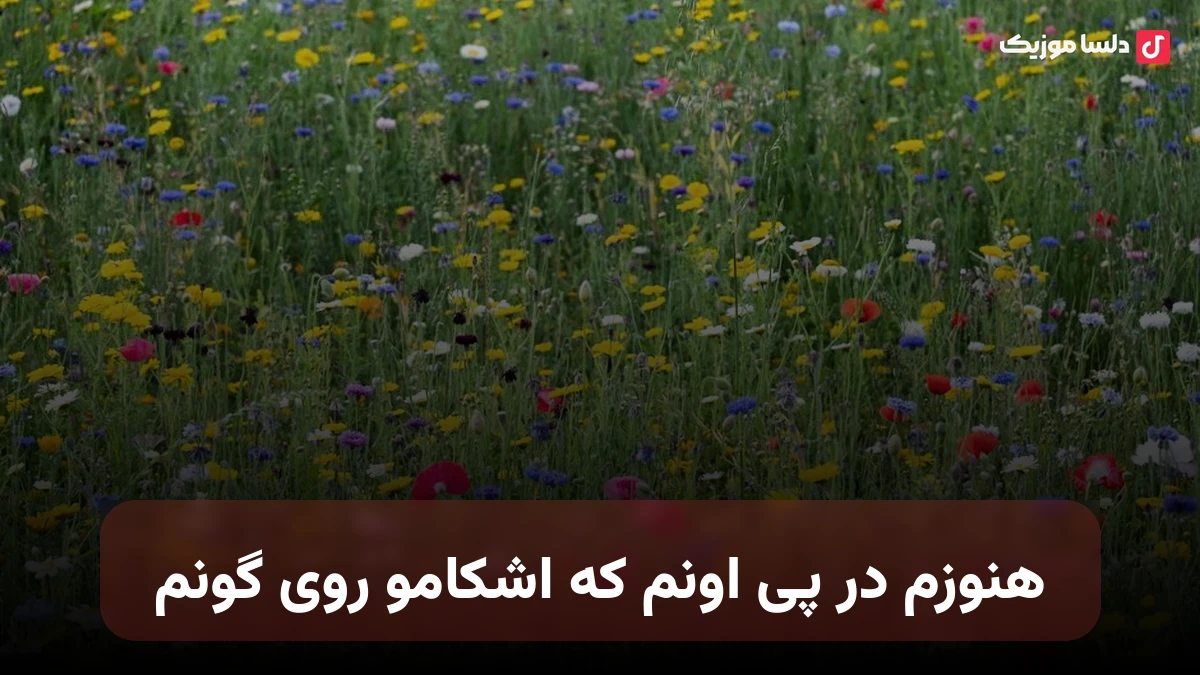 هنوزم در پی اونم که اشکامو روی گونم با صدای زن